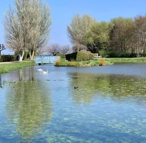 F2 Calme Et élégant *